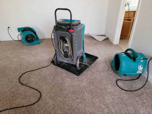 Best Mold removal after water damage  in Monon, IN