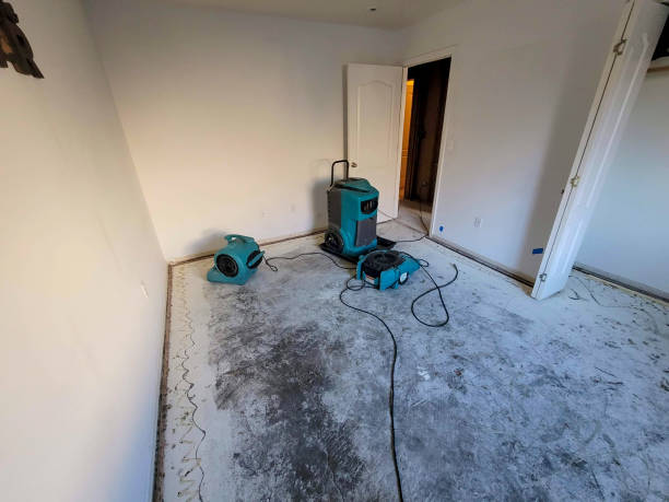 Best Emergency water extraction  in Monon, IN