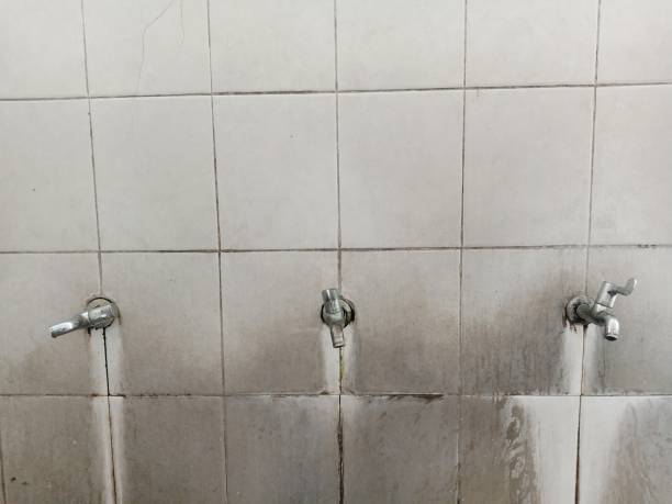 Best Water damage restoration insurance claims  in Monon, IN