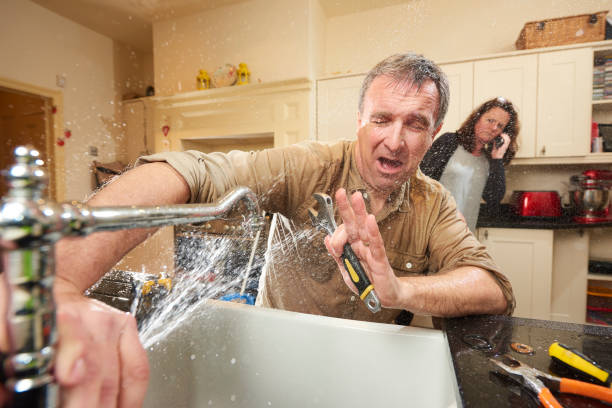 Best Water damage cleanup near me  in Monon, IN